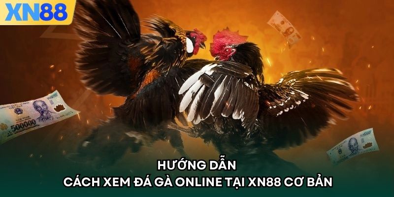 Hướng dẫn cách xem đá gà online tại XN88 cơ bản
