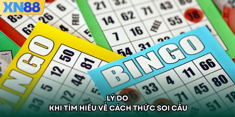 Lý do khi tìm hiểu về cách thức soi cầu